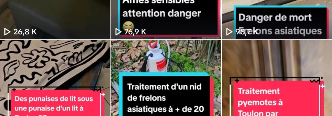 Nous sommes sur Tik Tok 